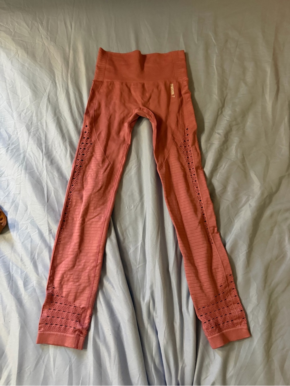 Seamless Ribbed Kids Leggings in Rust